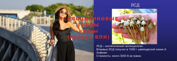 кокс Бородино
