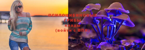 кокс Бородино