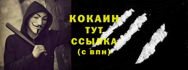 кокс Бородино